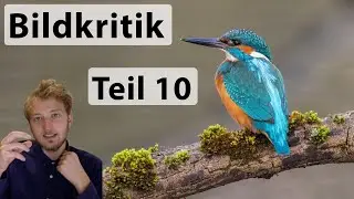 Bildkritik Teil 10 - Ich gebe Feedback zu euren Fotos
