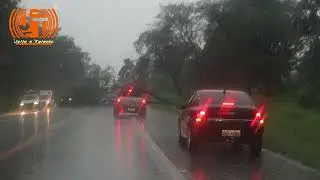 Árvore  cai e interdita Rodovia em São Simão/SP