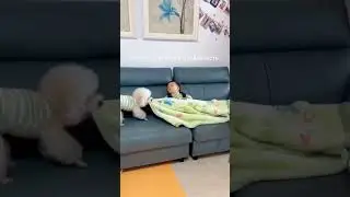ЛЮДЯМ НУЖНО УЧИТЬСЯ ТАКОЙ ДОБРОТЕ И ПРЕДАННОСТИ! ❤️