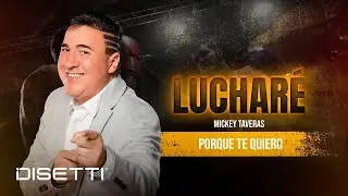 Mickey Taveras - Porque Te Quiero (Audio Oficial)
