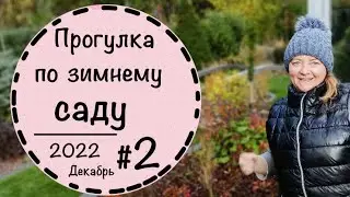 ☘️Garden Walk -2 ☘️Evergreen Shrubs☘️Planting Scheme☘️December 2022