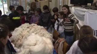 Jornadas de Puertas Abiertas en INIA Tacuarembó