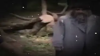Это же мой гриб я его ем