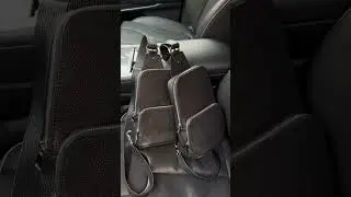 Мой рекорд пошива сумки «LV sling» 2 дня