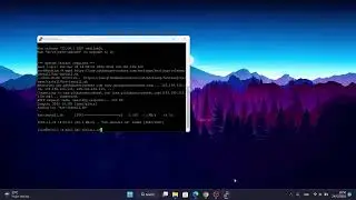 Cara Install Hestia CP di VPS Ubuntu