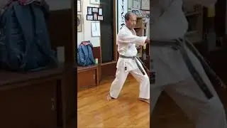 Matsubayashi Ryu Arakaki Toshimune - Gojushiho
