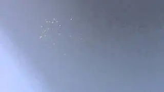 высоколётные  голуби 1