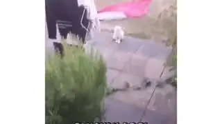 Парень Маркизы 😂👌🏻( В описание 👇🏼)