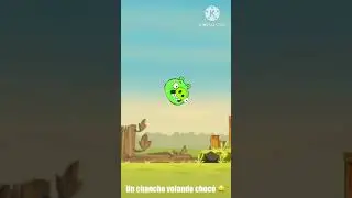 Un chancho volando chocó 🤑🤙