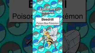Is Beedrill A Bee Or Wasp? 