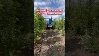 Своими руками собрали машину для обрезки и подвязки