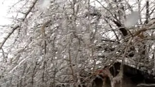 обледенение  листопад 2014