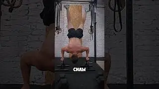 тренировка на плечи "Лишние Силы" #shorts #workout #спорт #bodybuilding #тренировки #плечи #воркаут