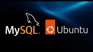 Deploy MySQL database In an EC2 instance and access it via MySQL-Workbench