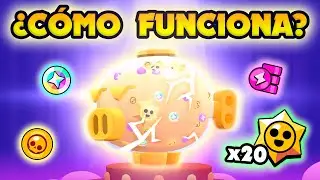¿Qué es la MEGAHUCHA? 🤑 Guía COMPLETA para PRINCIPIANTES
