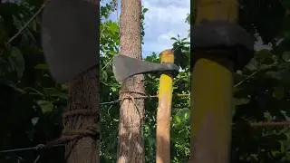 Electric Tree #shorts #mravi