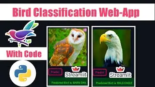 Bird Species Identification using Deep Learning 