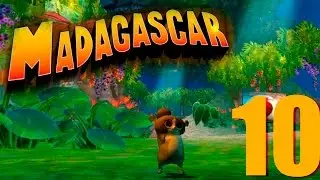 Полное Прохождение игры Мадагаскар 1 (уровень №10)