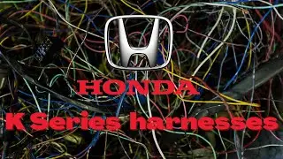Unravelling the Honda K series wiring - charge, engine and conversion harnesses basics