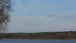 Цапля белая