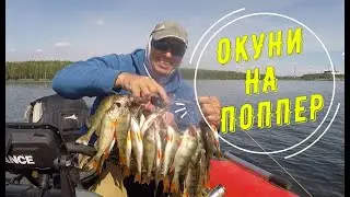 Окунь на поппер. Рыбалка на спиннинг Exilon летом. Белоярка 20.08.2023
