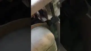 скрип подвески хендай Элантра 4 HD . решение есть, вложений минимум.