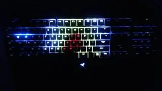 Blackwidow Chroma Configuration (DBZ SSJ)