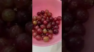 Заморозка крыжовника #кулинария #еда #рецепты #заморозки