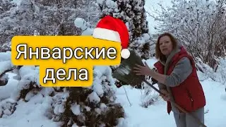 ЯНВАРСКИЕ ДЕЛА | САД ДЛЯ ДУШИ В ЯНВАРЕ