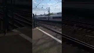 Скоростной электропоезд ЭВС1 с сообщением Санкт-Петербург-Москва. "Сапсан". #automobile