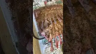 Lamb