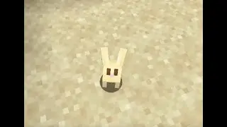That rabbit just keeps following me!