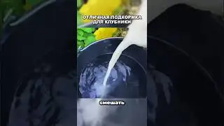 Подкормка для клубники🍓   Подписывайся на наше сообщество садоводов, ссылка в шапке профиля 