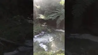 Coalition Creek, Korumburra, Victoria, Australia