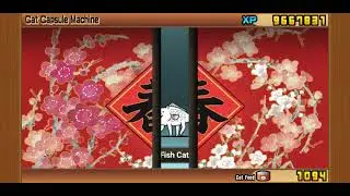 10 Draw Cat Tickets