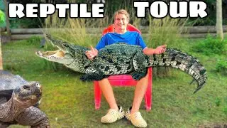 FEEDING ALL the REPTILES At My ZOO !