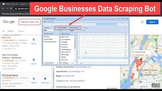 Google Businesses Data Scraping Bot 2021 Version