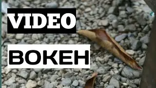 VIDEO BOKEH.....