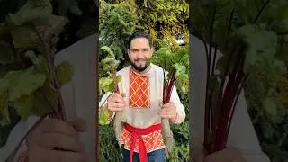 Вкуснейший салат из свекольной ботвы от Русича 🔥