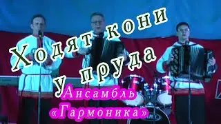 Ходят кони у пруда - ансамбль 