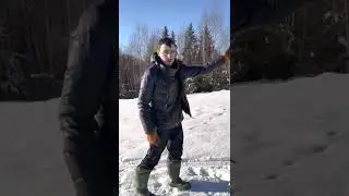 Коняка загубака