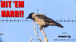 Hitting Crows and Sky Rats Hard | Huben K1 Lite and the LRS scope by SA