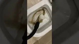 Такая грязь живет в диванах