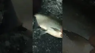 Large BREAM for 1,370 