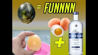 Bouncing Egg, Fun for home