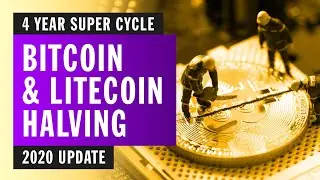 Bitcoin & Litecoin Halving - 2020 Update & Predictions