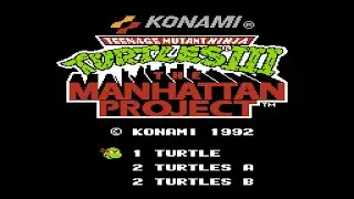 Nes Longplay - Teenage Mutant Ninja Turtles III: The Manhattan Project