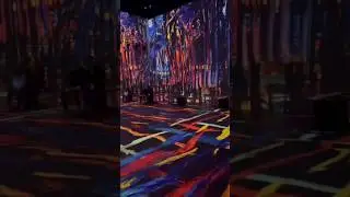 MONDRIAN EVOLUTION PROJECTION 2                             #arte #artista #mondrian #historiadaarte