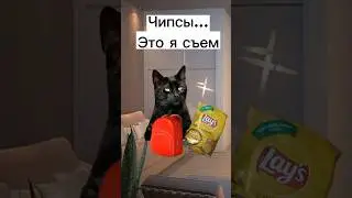 Пов: Проверяю рюкзак после каникул