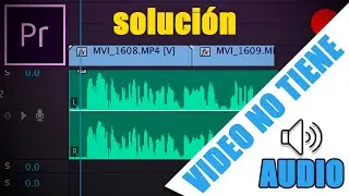 PREMIERE does not recognize the AUDIO in the TIMELINE (SOLUTION)